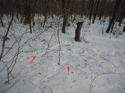 x_c675438c.jpg
