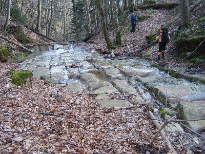 SV501699.JPG