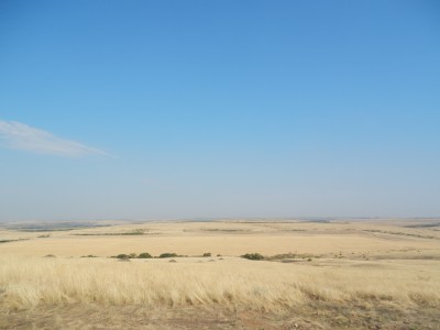 DSCN0548.jpg
