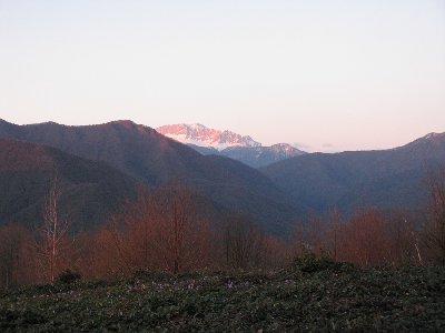 IMG_0331.jpg