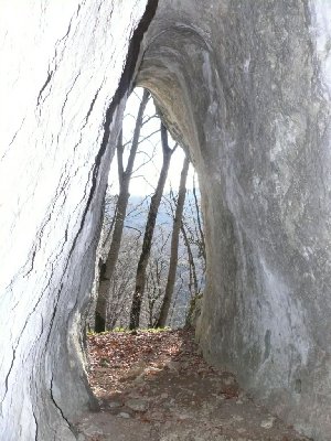 P1000200.JPG