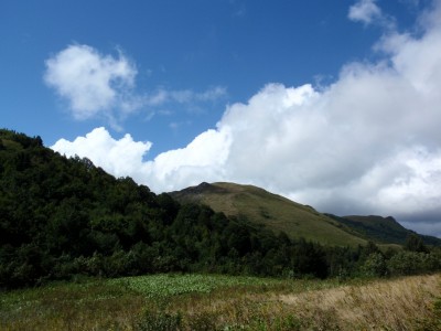 P9106735_1.jpg