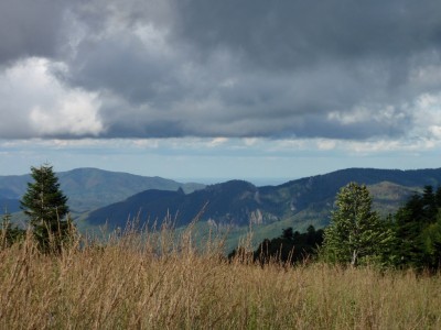 P9106744_1.jpg