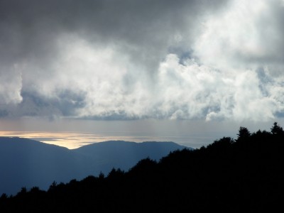 P9106750_1.jpg