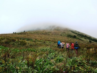 P9116767_1.jpg