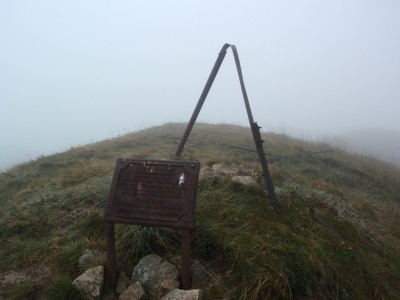 P9116768_1.jpg