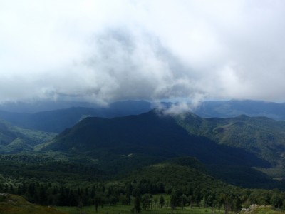 P9116780_1.jpg