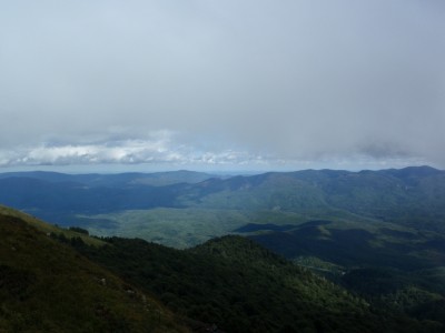 P9116785_1.jpg
