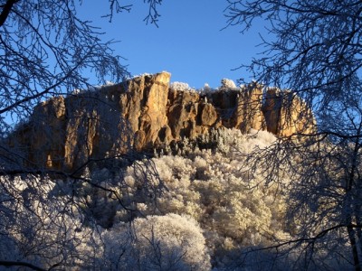 PB077611_1.jpg