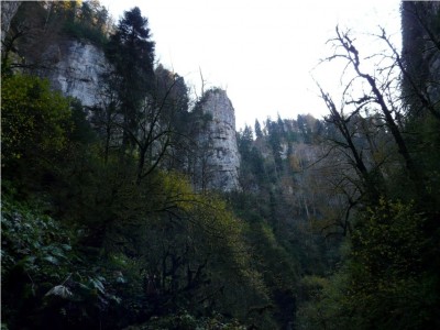 P1120827.JPG