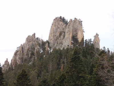 P2258665.JPG