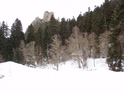 P2258666.JPG